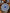 Blue-and-White Lotus Scroll Set