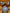 Blue-and-White Underglaze Copper Coin Pattern Set