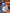 Blue-and-White Underglaze Copper Coin Pattern Set