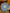 Blue-and-White Underglaze Copper Coin Pattern Set