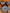 Blue-and-White Lotus Scroll Set