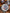 Blue-and-White with Underglaze Red “Pine, Bamboo, and Plum” Set
